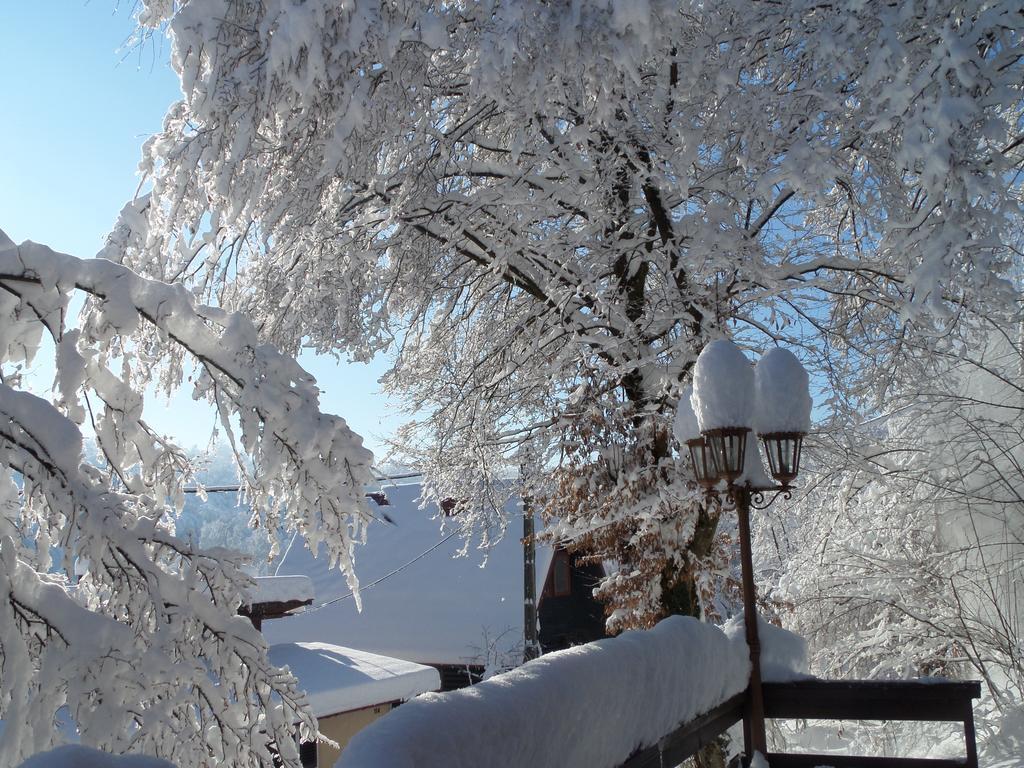 Holiday Home Mreznica Gornji Zvečaj Cameră foto